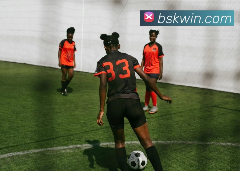 必胜客娱乐城官网平台生态图